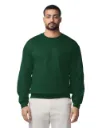 18000-forest-green.webp