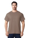Brown Savana