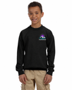 Custom Embroidered Youth Crewneck Sweatshirt – Front Logo and Full Print Back